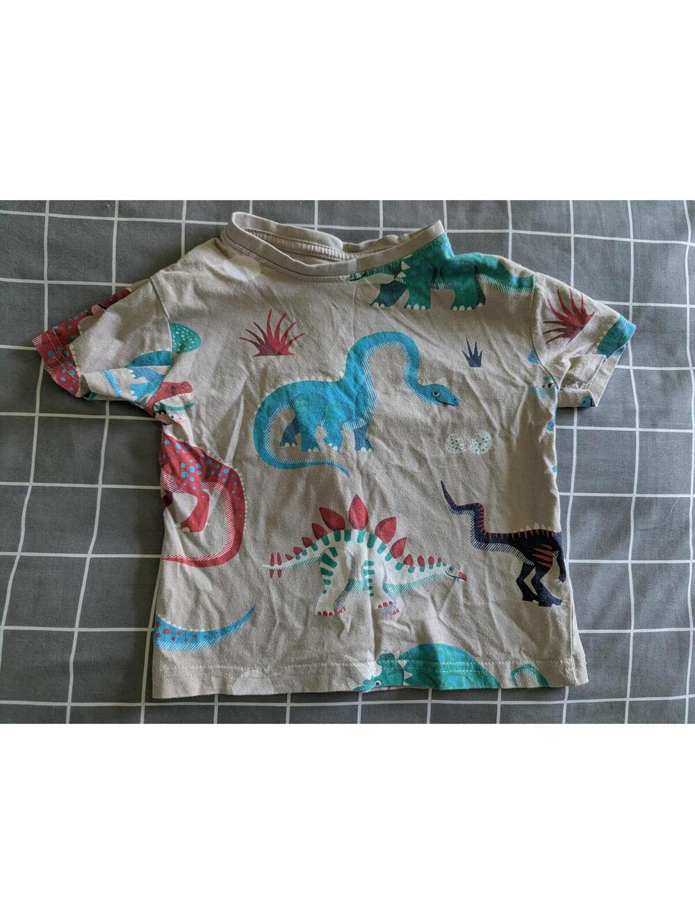 Primark dinosaur tee